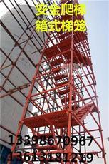 专业施工安全爬梯产品展示